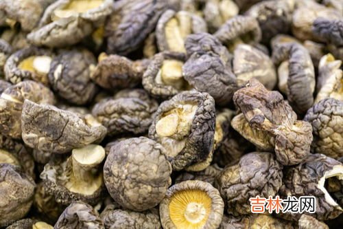 干香菇要泡多久,干香菇要泡多久 泡发1小时左右30℃温水泡发更快