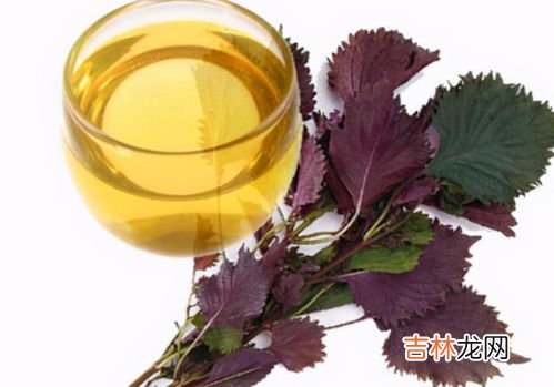 紫苏油软胶囊的作用,复方紫苏油软胶囊用法