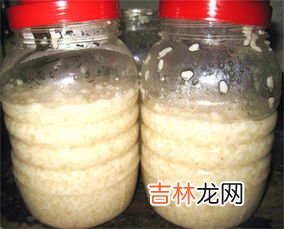 甜酒怎么保存,甜酒怎么保存才永远是甜的