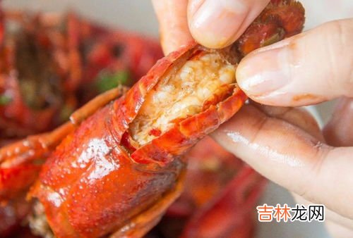 虾吃什么东西,虾子吃什么