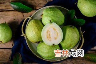 芭乐的成熟期,芭乐是什么季节的水果