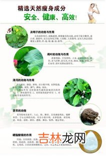左旋肉碱荷叶绿茶胶囊效果怎么样,汤臣倍健左旋肉碱茶多酚荷叶片怎么样?有效吗?