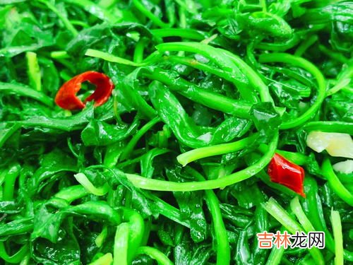 小寒吃什么蔬菜,小寒节气吃什么食物？