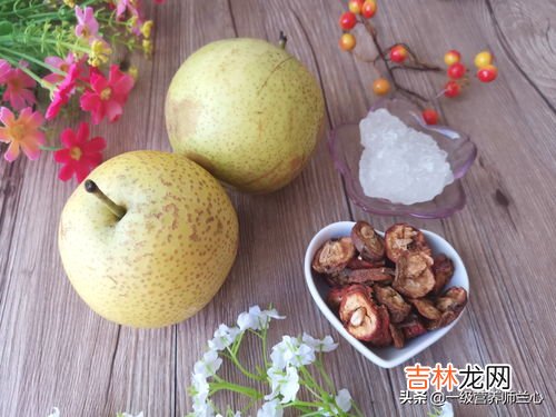 西梅带皮吃好还是去皮好,西梅怎么吃要剥皮吗 西梅怎样吃要剥皮的吗