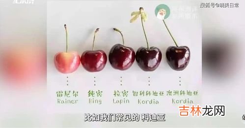 车厘子gD代表什么尺寸,车厘子jd是什么等级