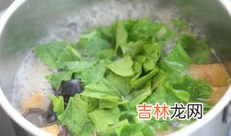 小白菜的10种花样吃法,小白菜好吃的做法,你知道哪些?