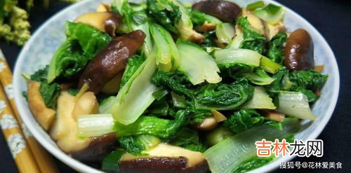 小白菜的10种花样吃法,小白菜好吃的做法,你知道哪些?