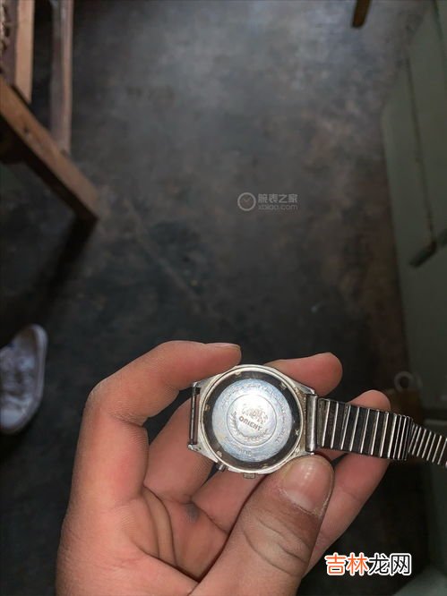 双狮手表老款式价格,83年生产的双狮自动25钻手表价格多少钱