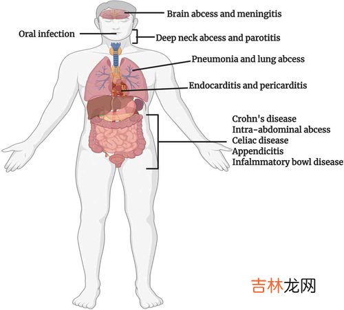 鱼际的准确位置图片及作用,鱼际穴位的作用功效