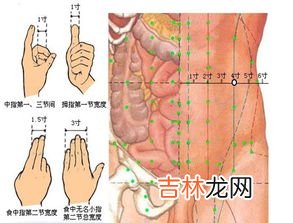 鱼际的准确位置图片及作用,鱼际穴位的作用功效