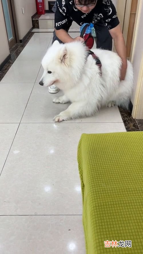 我真的栓q的意思是什么,我真的会拴q是什么梗？