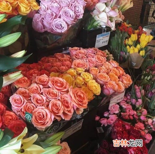 玫瑰到了花期什么意思,女生说玫瑰到了花期是什么意思？