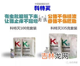 养胰活血膏效果怎么样,东方活血膏药主治什么