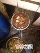 地沟油是怎么做出来的,什么叫地沟油！而地沟油又是怎样提炼出来的？