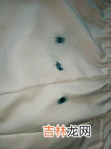 衣服有老鼠胶怎么洗掉,老鼠贴的胶粘衣服上怎么洗掉 老鼠贴的胶粘衣服上洗掉的方法