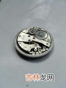 国产手表机芯有哪些,霸王机芯钟表机芯有几种