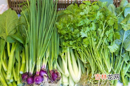 菜心怎么保存新鲜不烂,菜心怎么保存才能保鲜 菜心储藏及保鲜方法