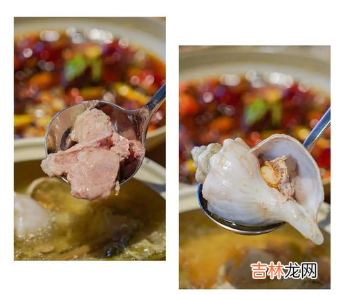 海螺怎么处理干净,如何洗海螺才能洗干净