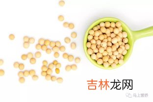 e豆有什么用,移动营业厅发的E豆是什么意思？