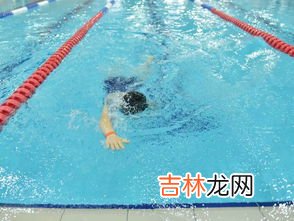 不会游泳的人换个泳池也没用是啥意思,“不会游泳换游泳池也是没用的”原来讲的是逻辑层次理论的环境层