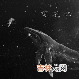 鲸的寓意是指什么,蓝鲸的寓意是什么蓝鲸的寓意指什么