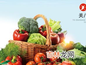 壁虎喜欢吃啥蔬菜,壁虎吃什么?壁虎咬人吗