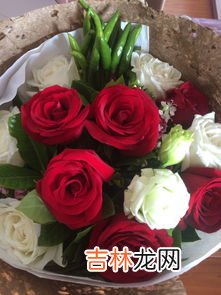 白玫瑰寓意是啥意思,白玫瑰的寓意是什么意思