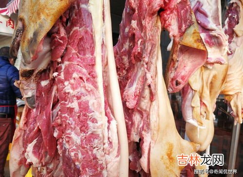 羊肉太膻了怎么办,如何去除羊肉的膻味