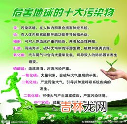 垃圾对地球的危害有哪些,垃圾对环境的危害有哪些