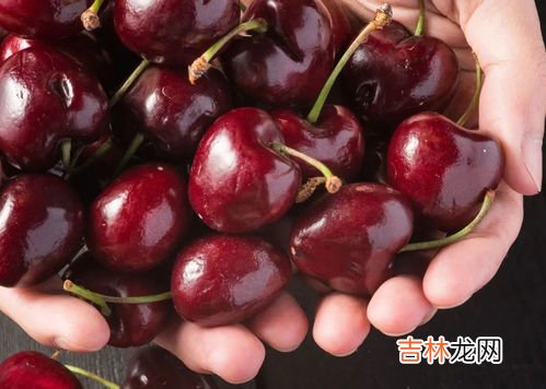 吃车厘子的季节是哪几月,车厘子季节是什么时候