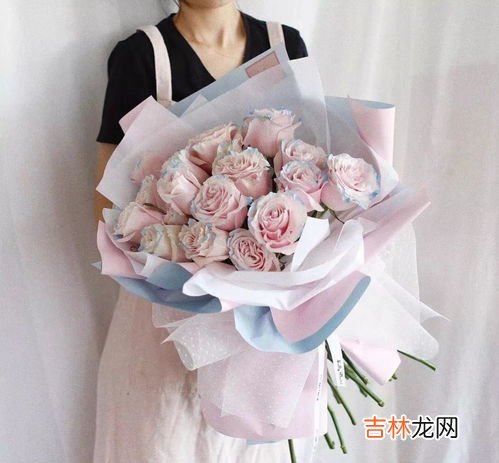 玫瑰的寓意以及象征是什么,玫瑰的寓意代表什么