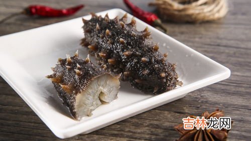海参可以吃吗,海参可以天天吃吗