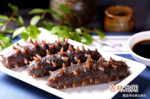 海参可以吃吗,海参可以天天吃吗