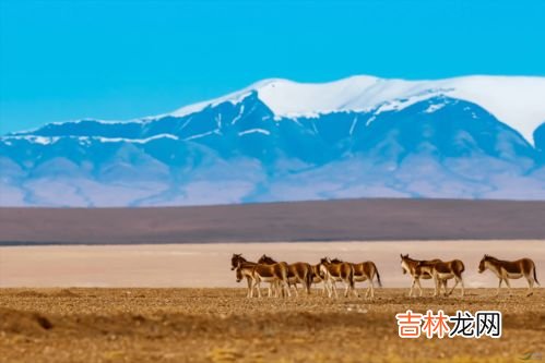 可可西里全长是多少公里,可可西里的面积有多大？