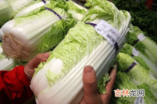 小白菜的营养价值及功效与作用,小白菜的营养价值