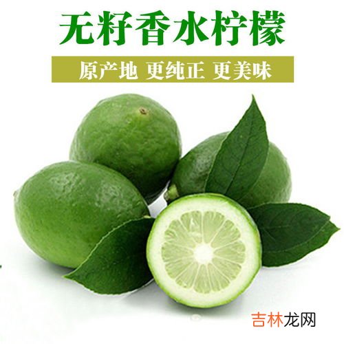 香水柠檬和柠檬的区别,香水柠檬和柠檬有什么区别 香水柠檬和柠檬区别介绍