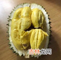 榴莲和什么相克,榴莲跟什么食物相克