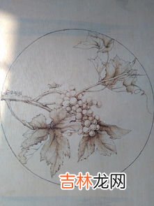 蛐蛐主要吃什么,蟋蟀吃什么?
