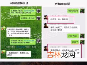 em原露的作用与功效,EM原露的功效
