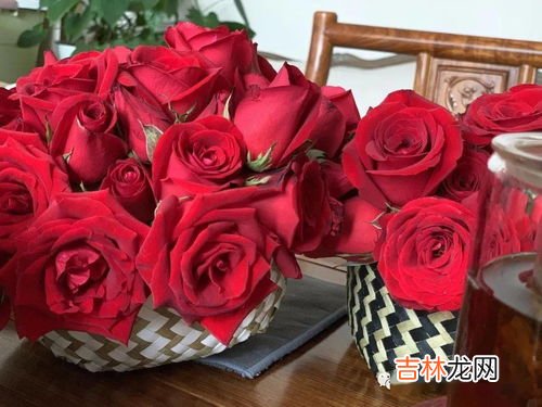 蓝色的玫瑰代表什么意思,蓝色玫瑰代表什么