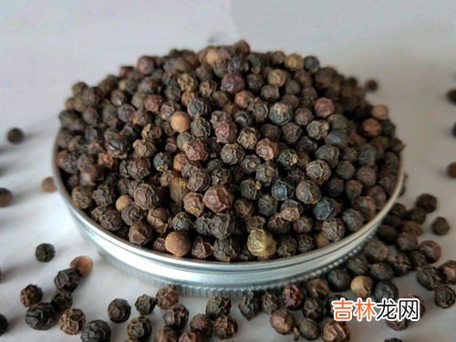 黑胡椒和白胡椒的区别是什么,白胡椒和黑胡椒的区别