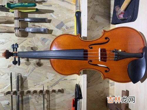 小提琴品牌排行榜,国产小提琴哪个牌子好，国产小提琴什么牌子好，国产小提琴十大品牌排名