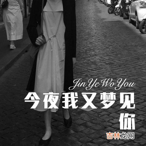 我梦见你梦见我歌词,第一句歌词是:昨天晚上我又梦见你?是什么歌?