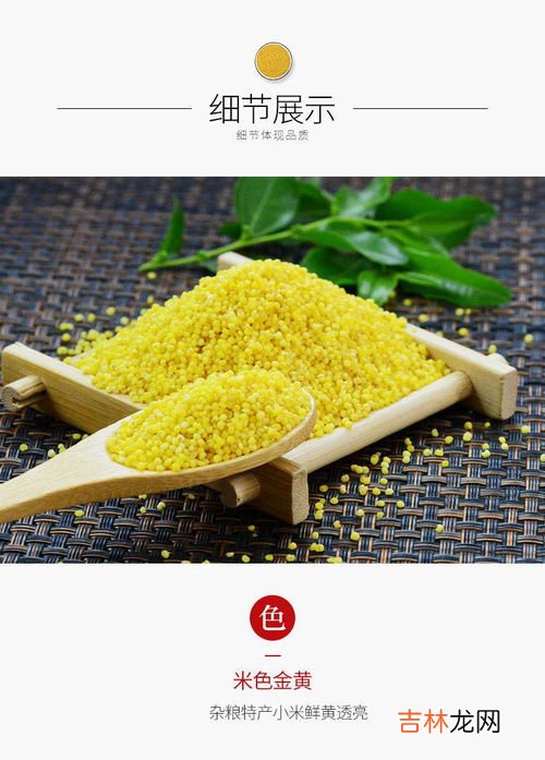 小米是粗粮吗,小米是粗粮还是细粮?