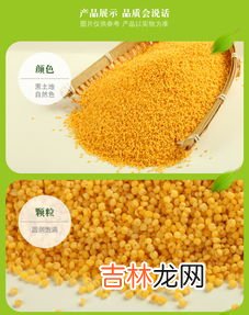 小米是粗粮吗,小米是粗粮还是细粮?