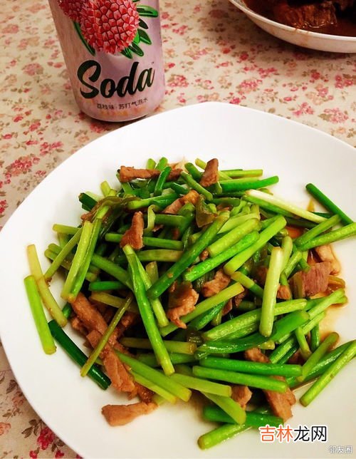 青蒜和蒜苗一样吗,青蒜和大蒜一样么