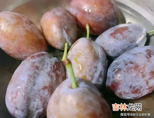 西梅的功效与作用,西梅的功效与作用