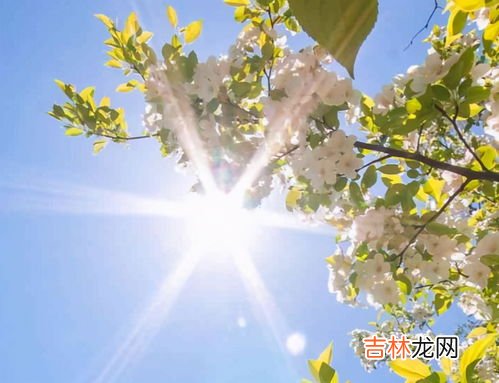 我们都要好好的第23集剧情简介,我们都要好好的全集多少集 该剧讲述了什么内容