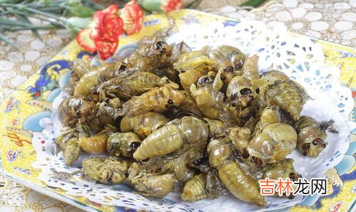 香炒知了猴的做法,知了猴如何做好吃?