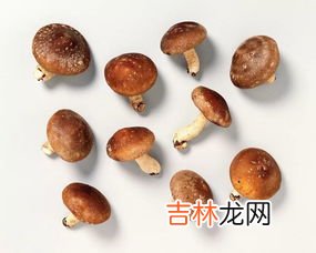 香菇有点霉了可以吃吗,香菇发霉还能吃吗